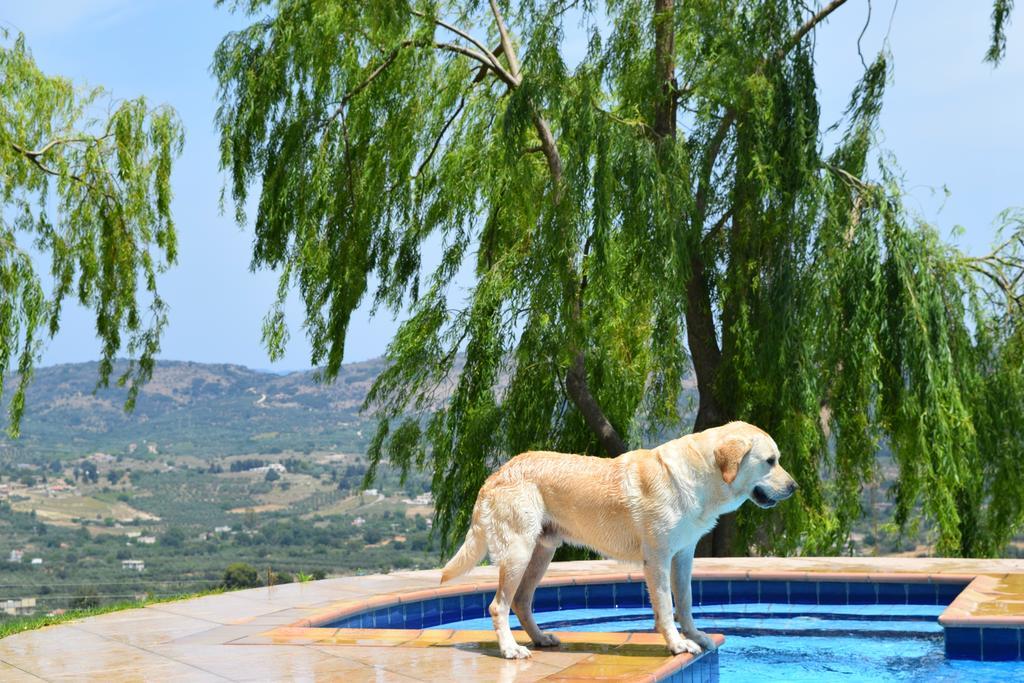 Aspalathos Villas Fílippos Екстериор снимка